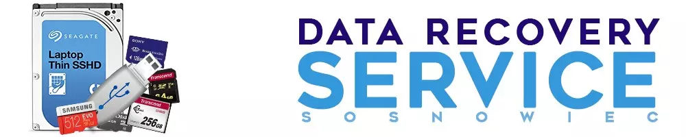 data recorvey service Sosnowiec